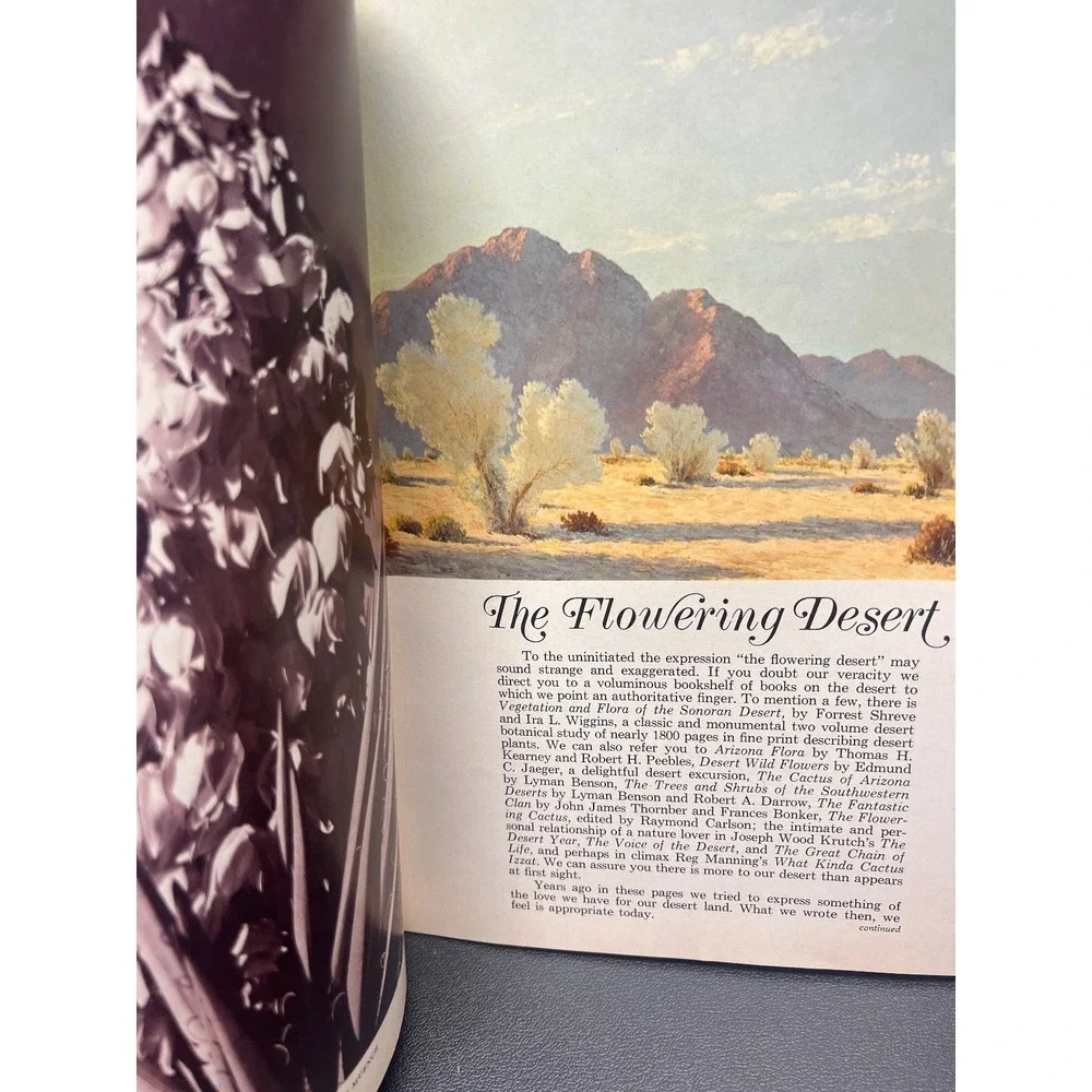Arizona‎ Highways February 1969 The Flowering Desert